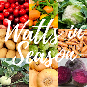 Watts in Season November