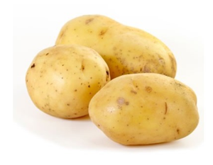 Potatoes Large Bakers - Each-Watts Farms