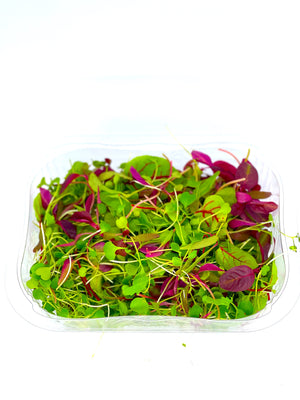 Baby Cress Mixed Salad - 30g