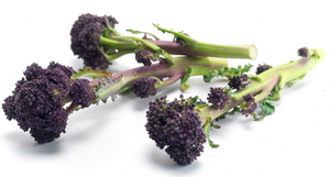 Purple Sprouting Broccoli - 250g-Watts Farms