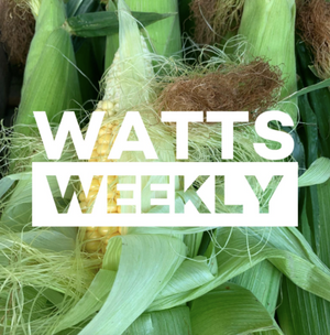 Watts Weekly-  03/08