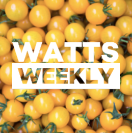 Watts Weekly 24/08
