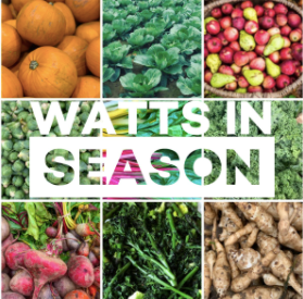 Watts in season - November