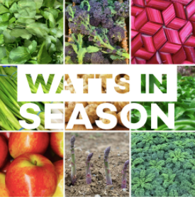 Watts in season - April