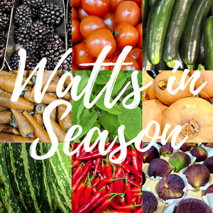 Watts in Season October