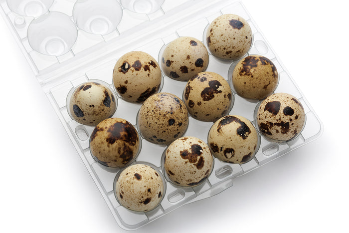 Quail Eggs - Pack of 12