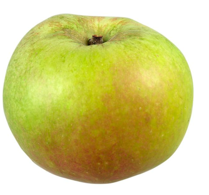 Apple Bramley Cooking - Kg (Kent New Season)