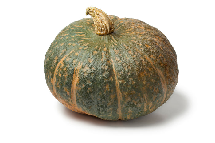 Delica Squash - Each