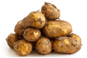 Jersey Royal Mid Potatoes - 500g-Watts Farms