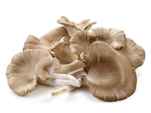 White Oyster Mushrooms - 400g-Watts Farms