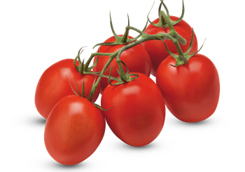 Tomatoes Plum Vine - 500g