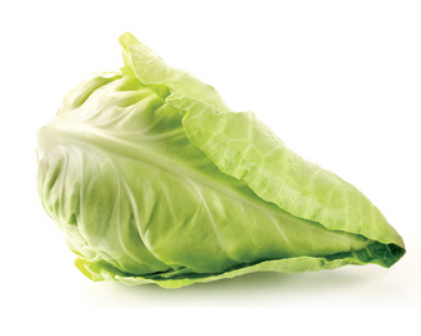 Cabbage Pointed - Each