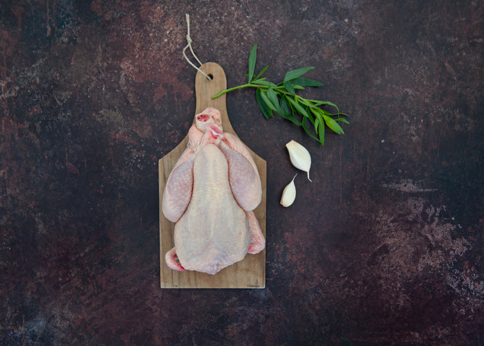 French Poussin - Each