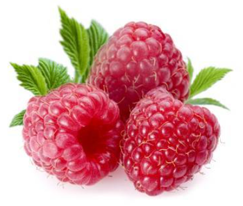 Kentish Raspberry Kentish Berries for Sale Online | Buy Kent Berries here at Watts Farms