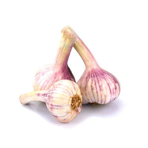 Garlic Wet - Each
