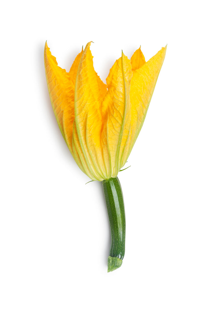 Courgette Flowers - Each