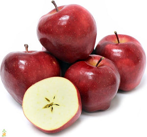 Apple - Red Delicious Small - kg-Watts Farms