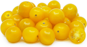 Yellow Cherry Tomatoes - 250g-Watts Farms