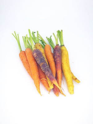 Baby Carrots Rainbow Mix - 200g-Watts Farms