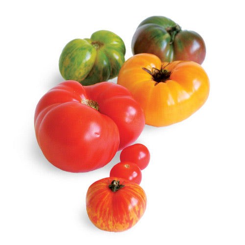 Heirloom Tomato Mix - 500g