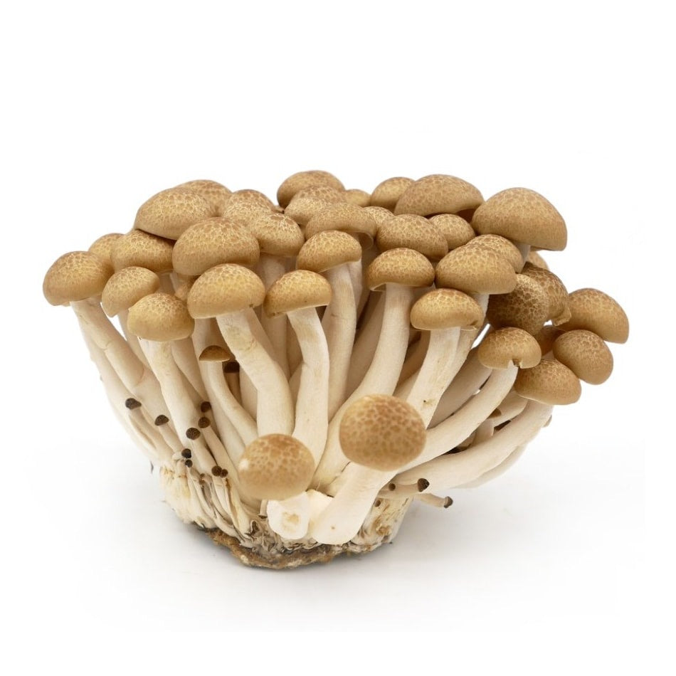 Shimeji Brown Mushroom - 150g – Watts Farms