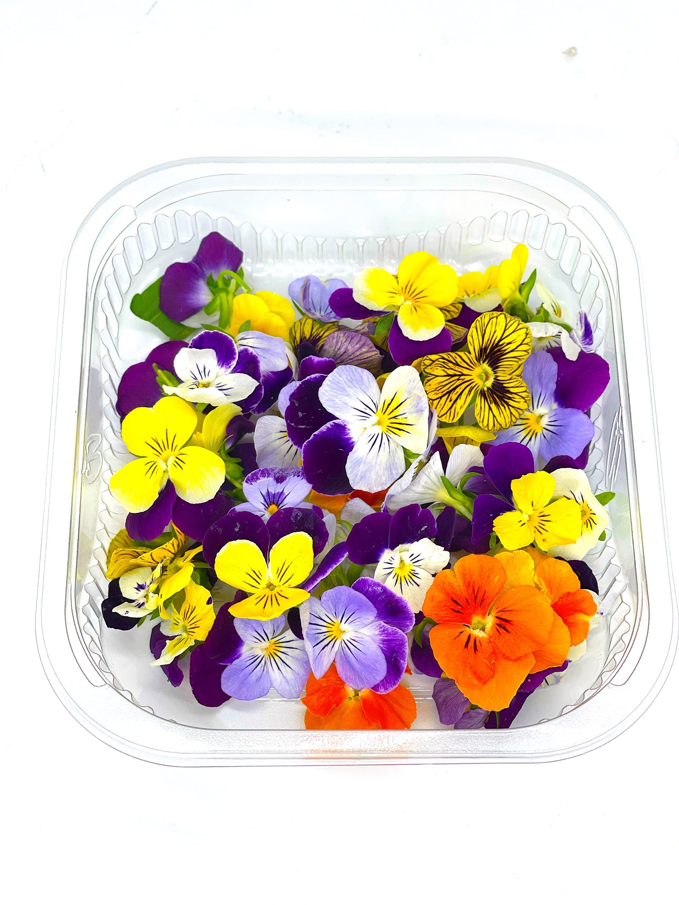 10 Edible Flowers to Beautify Your Plate - One Green Planet