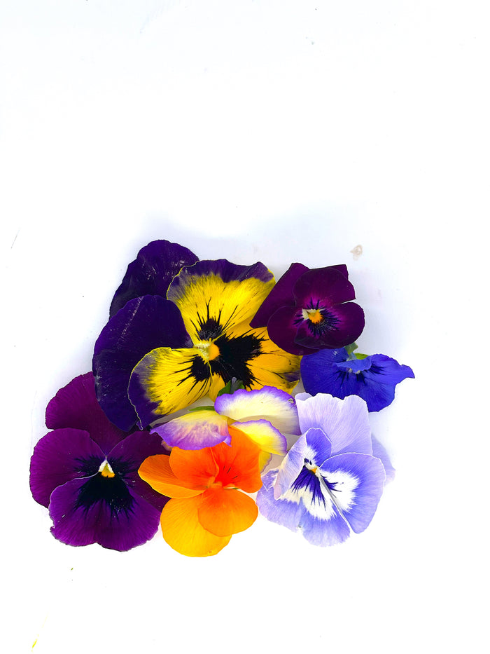 Edible Flowers - Pansies punnet of 10