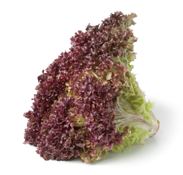 Lettuce Lollo Rosso - Each