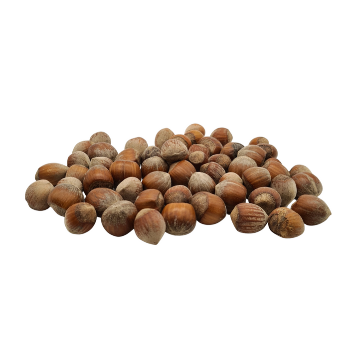 Hazelnuts in Shell 400g