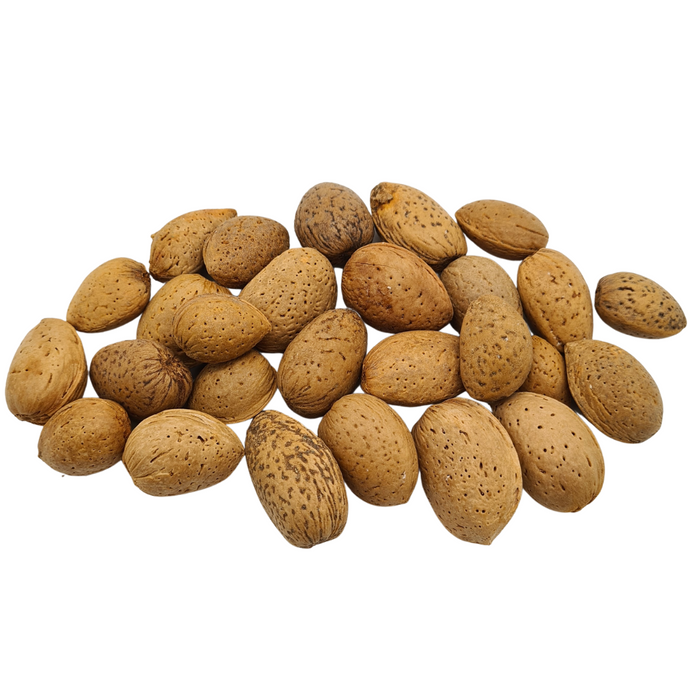 Almond Nuts in Shell 400g