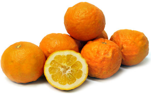 Seville / Marmalade Oranges - Kg